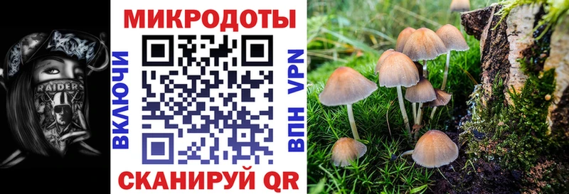 blacksprut сайт  где можно купить наркотик  Яранск  Галлюциногенные грибы мухоморы 
